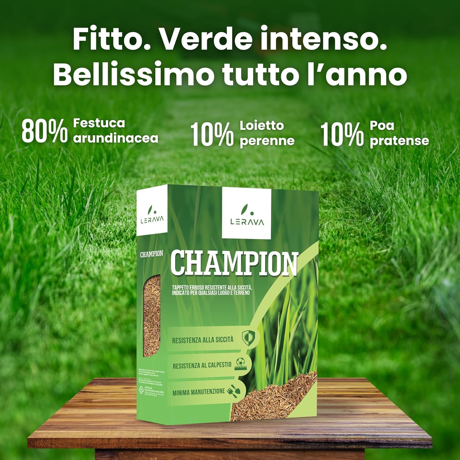 Lerava CHAMPION Semi Prato - Festuca Arundinacea - immagine 5