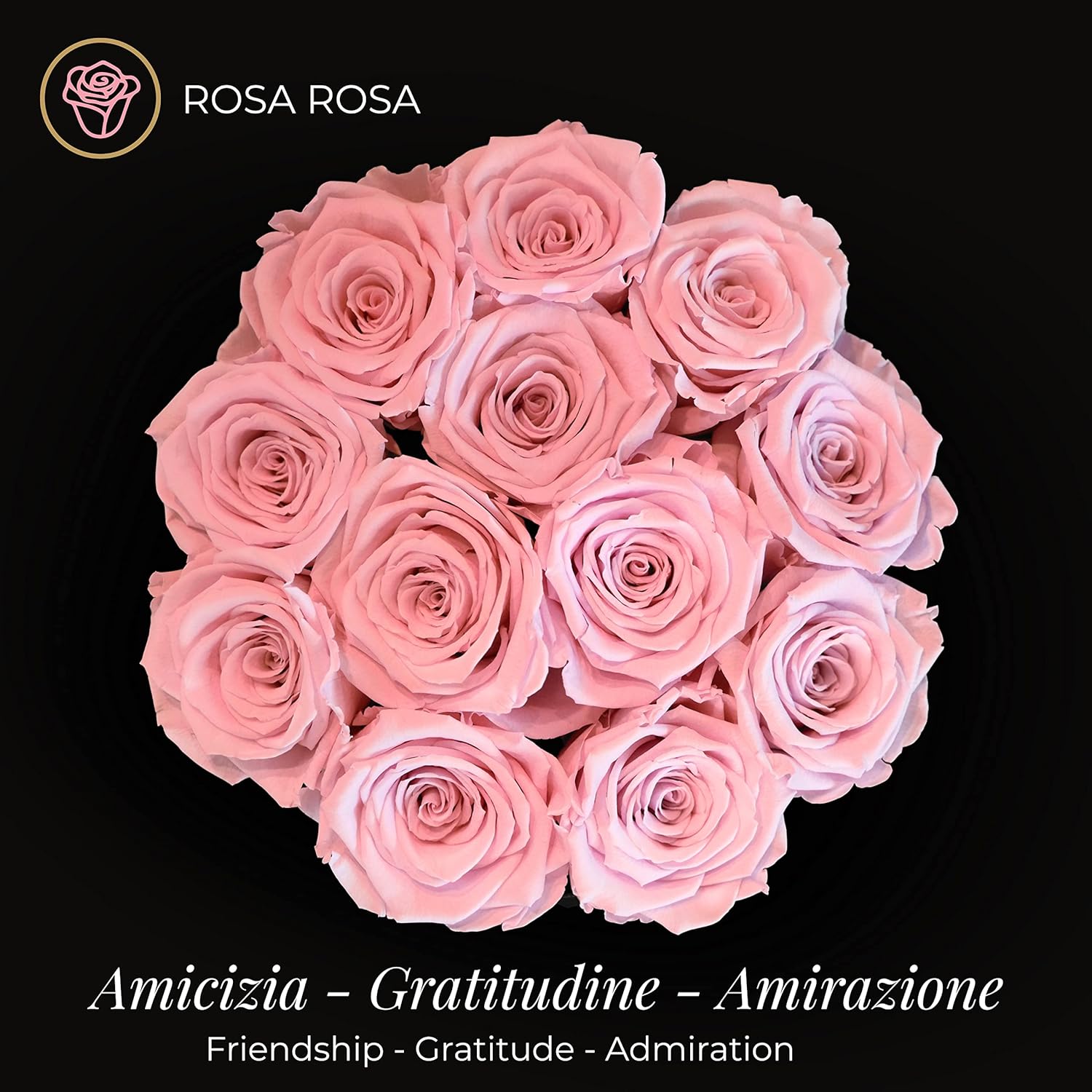 Amoroses 12 Rose Stabilizzate Vere - Scatola Nera - immagine 3