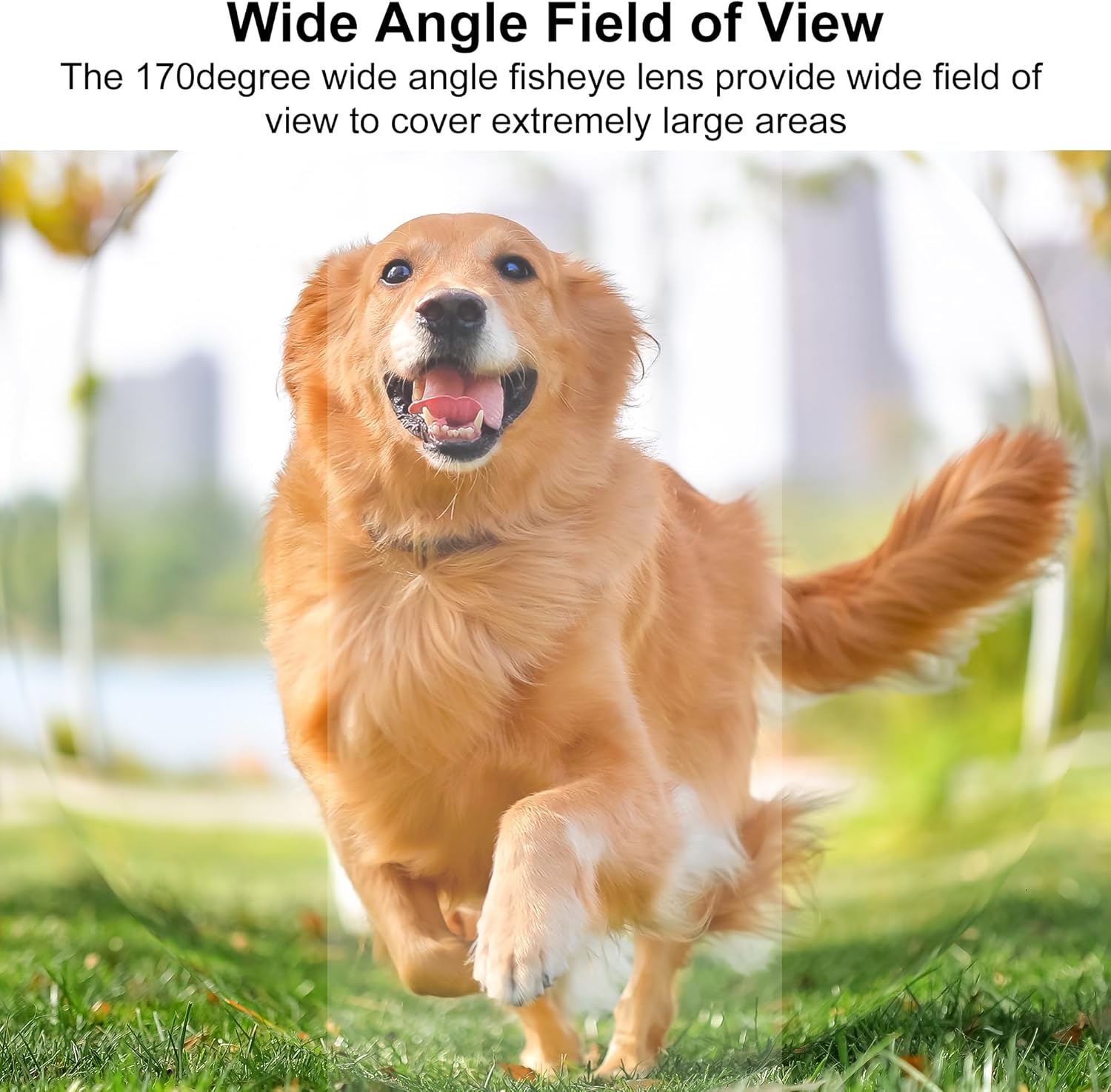 Elp Modulo Fotocamera USB 720P Global Shutter 60fps - immagine 4