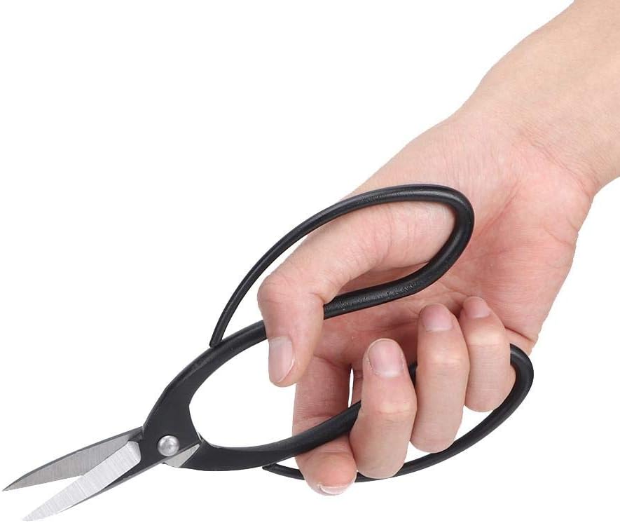 Fdit1 Set Attrezzi Bonsai Professionale 7 Pezzi Inox - immagine 5