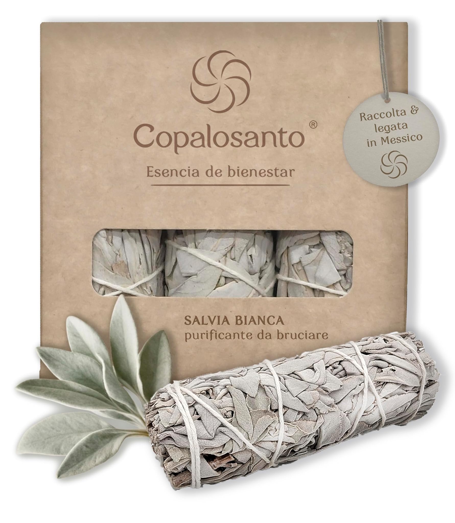 Salvia Bianca da Bruciare per Purificazione e Meditazione