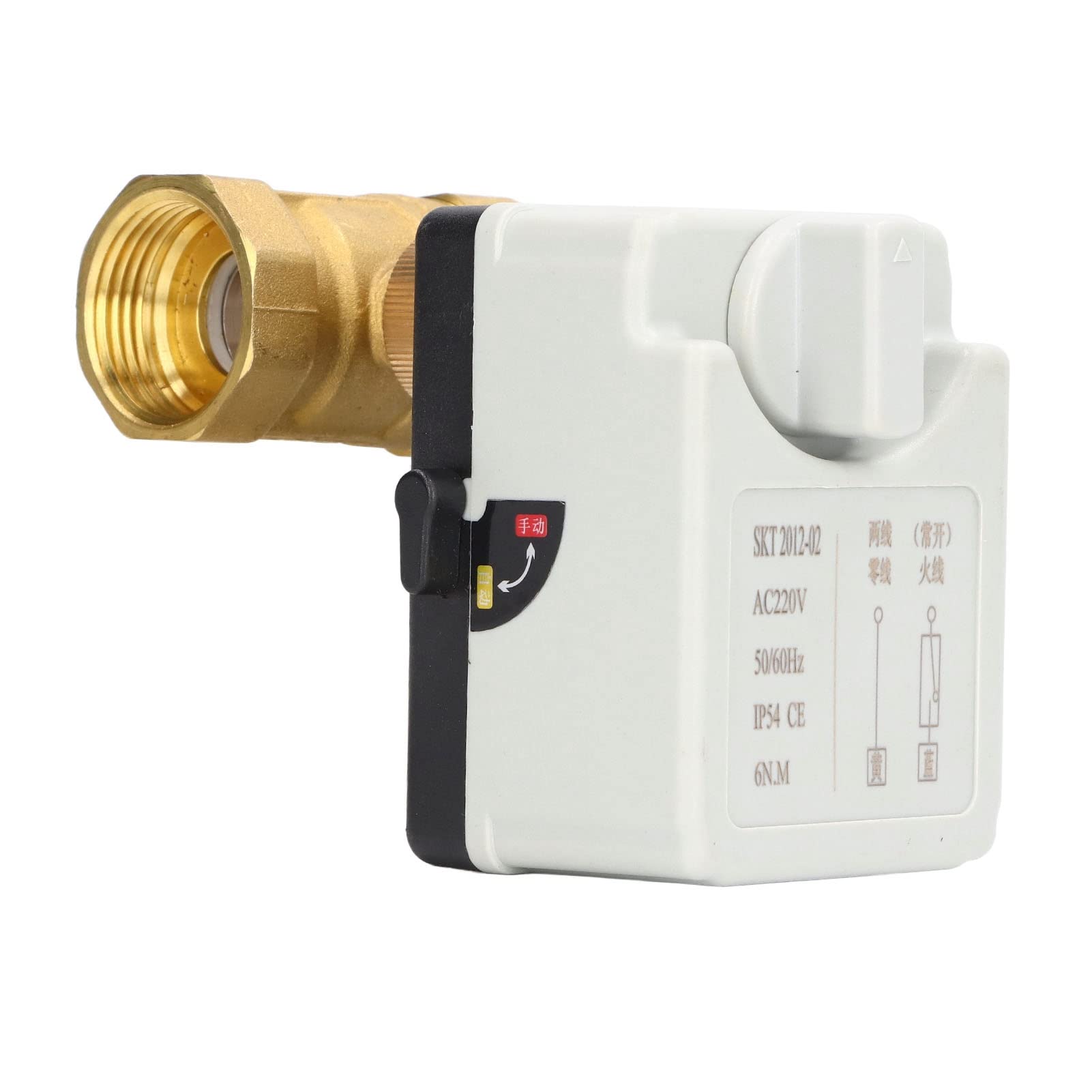 Valvola a Sfera Motorizzata 2 Vie DN25 Ottone AC220V