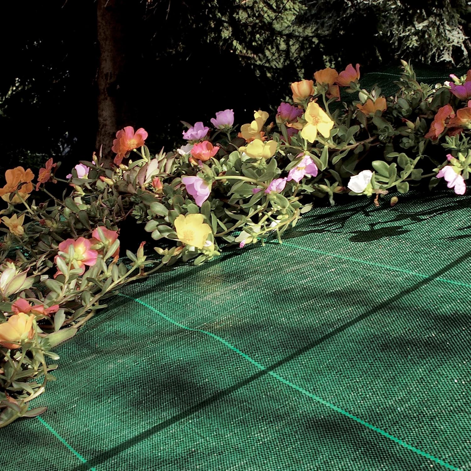 TENAX Cover Pro 1,05x100m Verde - Telo Antierbacce - immagine 2