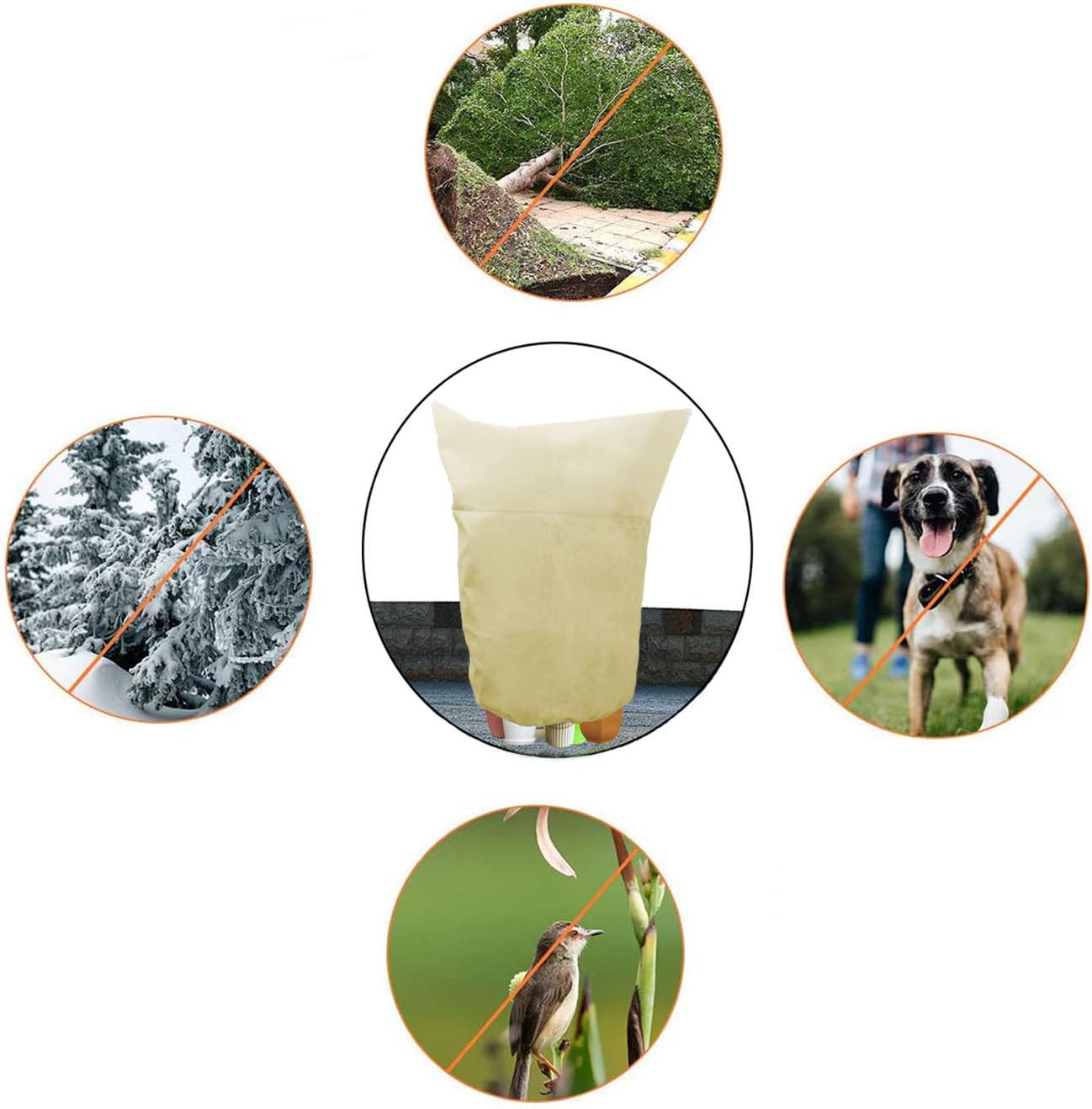 2 Pezzi Cappuccio Protezione Piante Invernale 120x180cm - immagine 4