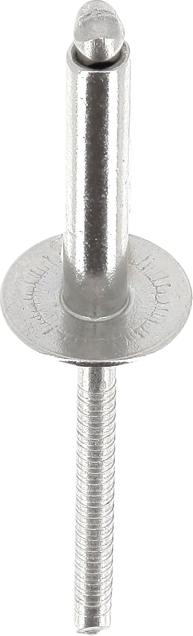 Restagraf Rivet in Alluminio, Testa Larga, 4 x 20 mm, Lotto da 250