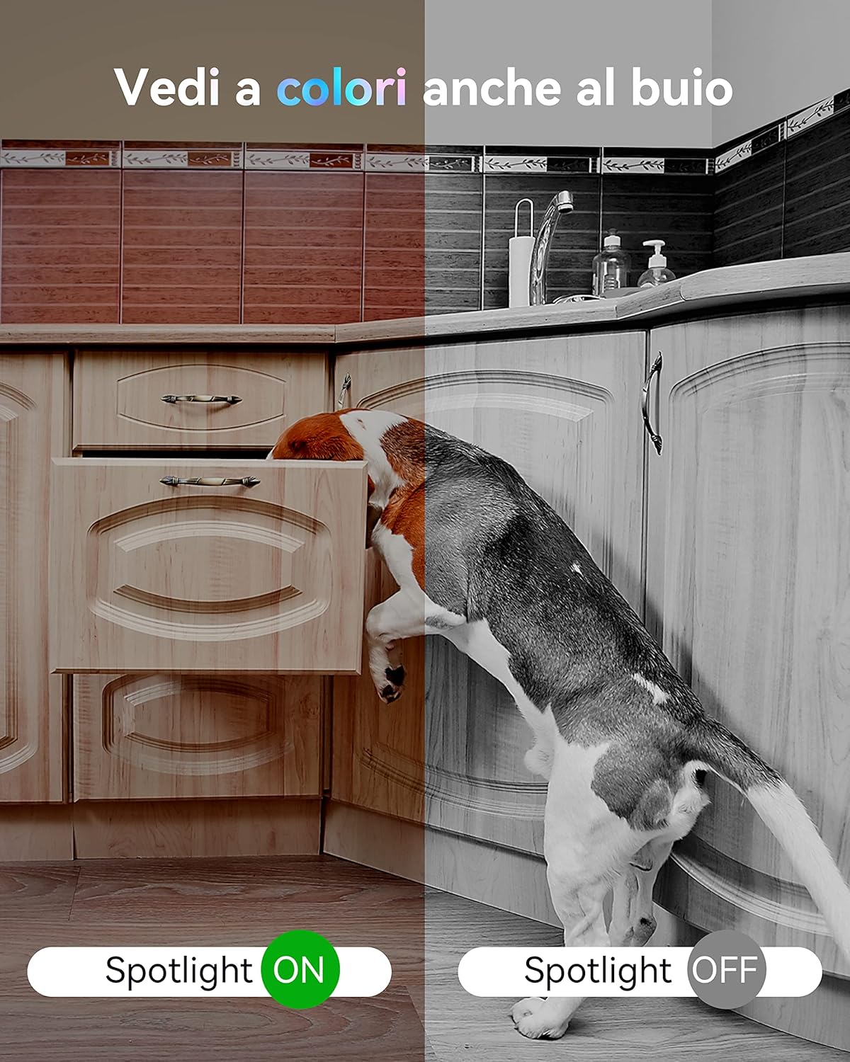 Blurams Telecamera Wifi Interna 2K 360° - immagine 4