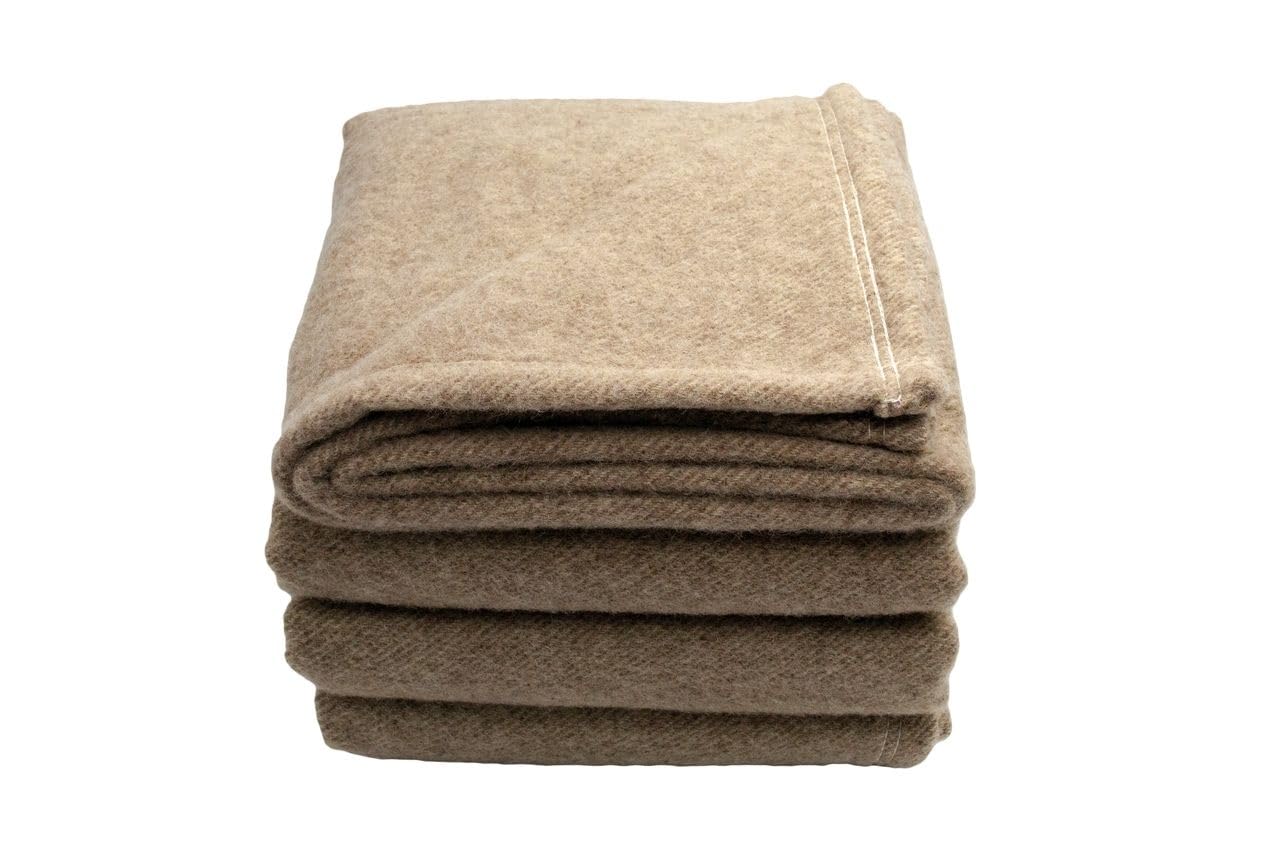 Toison d'Or Curmayer 220 x 240 Bizet