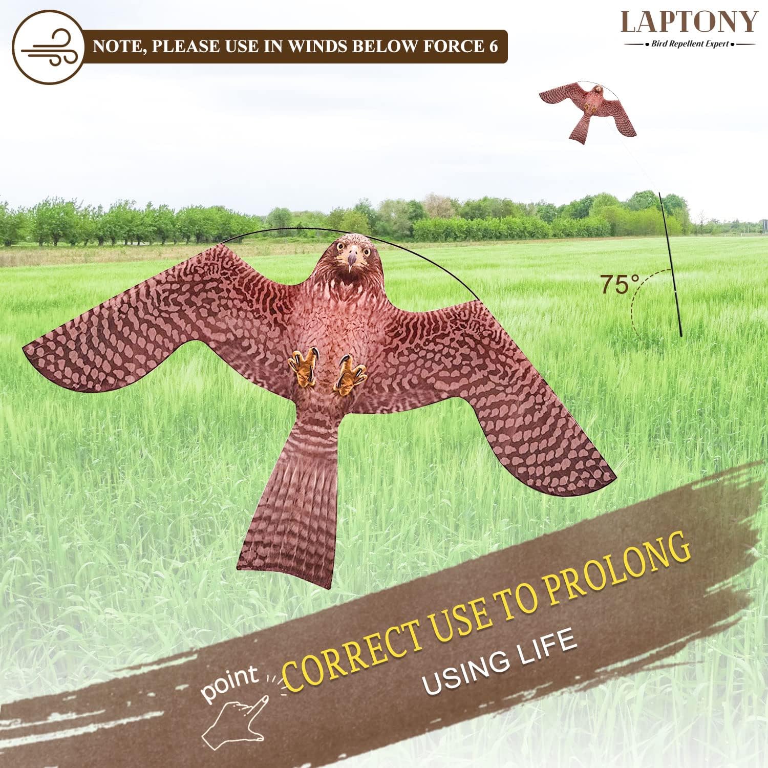 Laptony Uccello Spaventatore Aquilone con Asta 4m - immagine 6