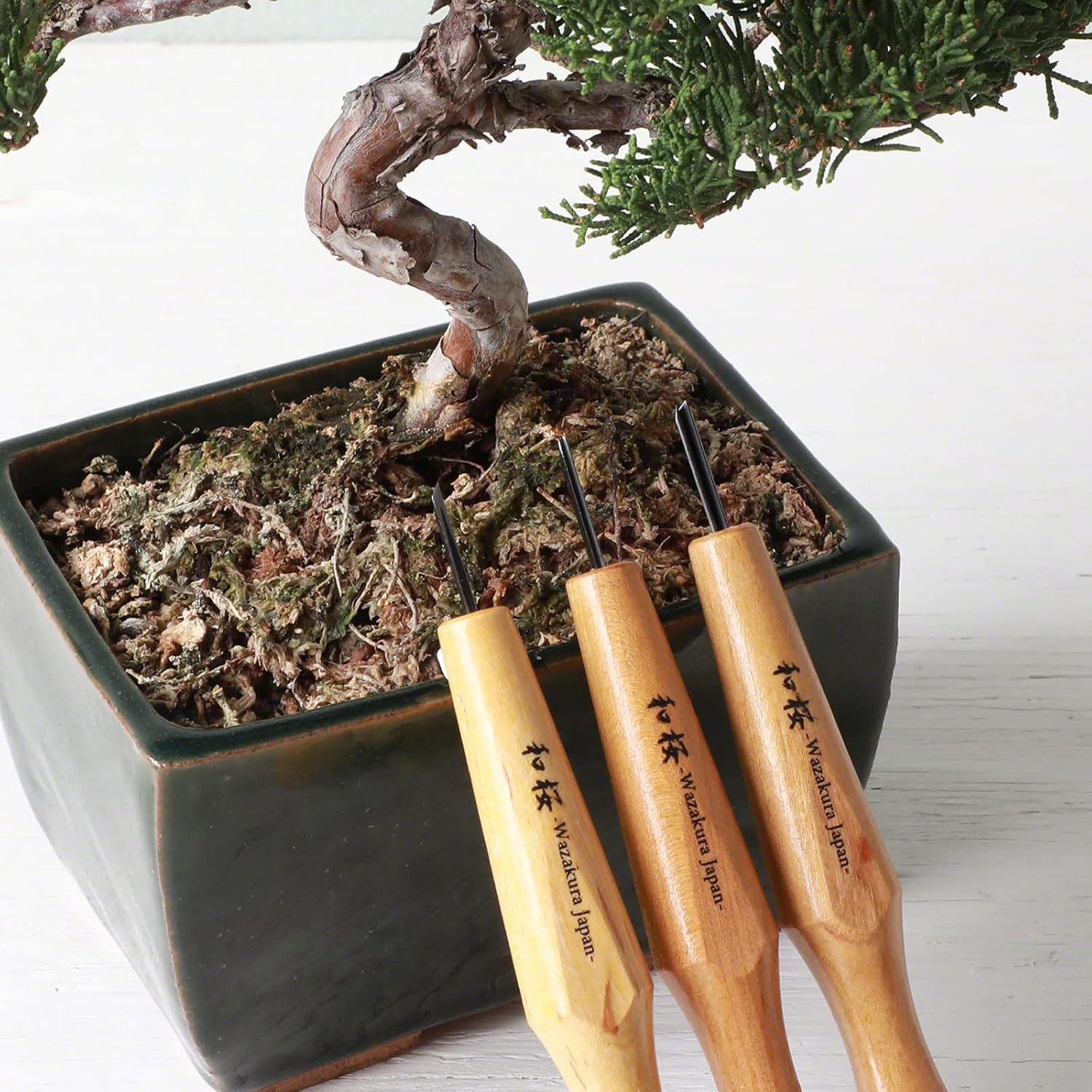 Wazakura Set Strumenti per Jin e Shari Bonsai (3 pezzi) - immagine 5