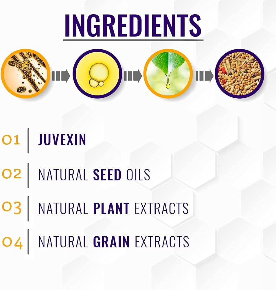 Gk Hair Silver Bombshell Shampoo 710ml - immagine 2