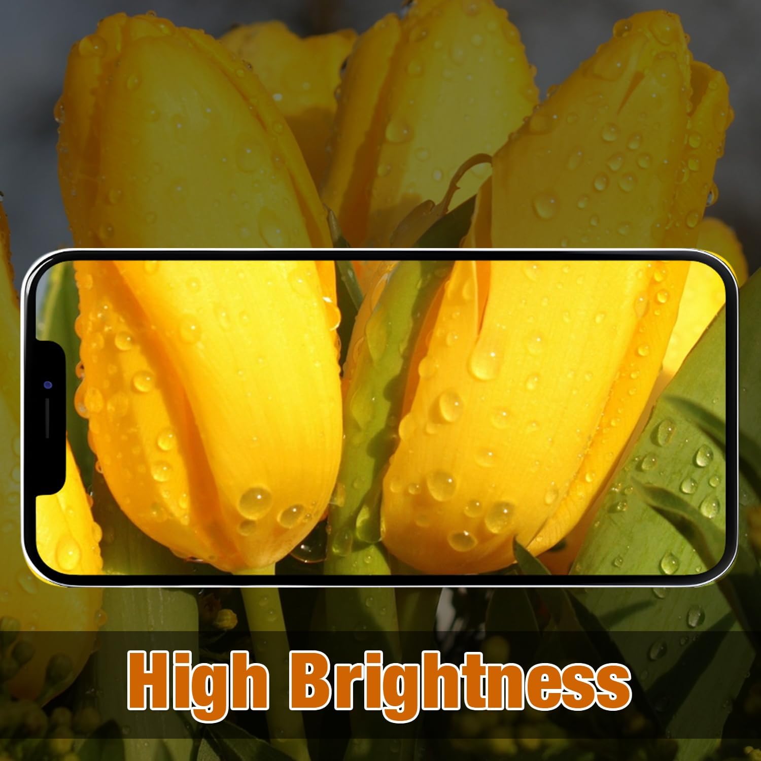 Display per iPhone 13 Mini - Schermo LCD Full HD 5,4" - immagine 4