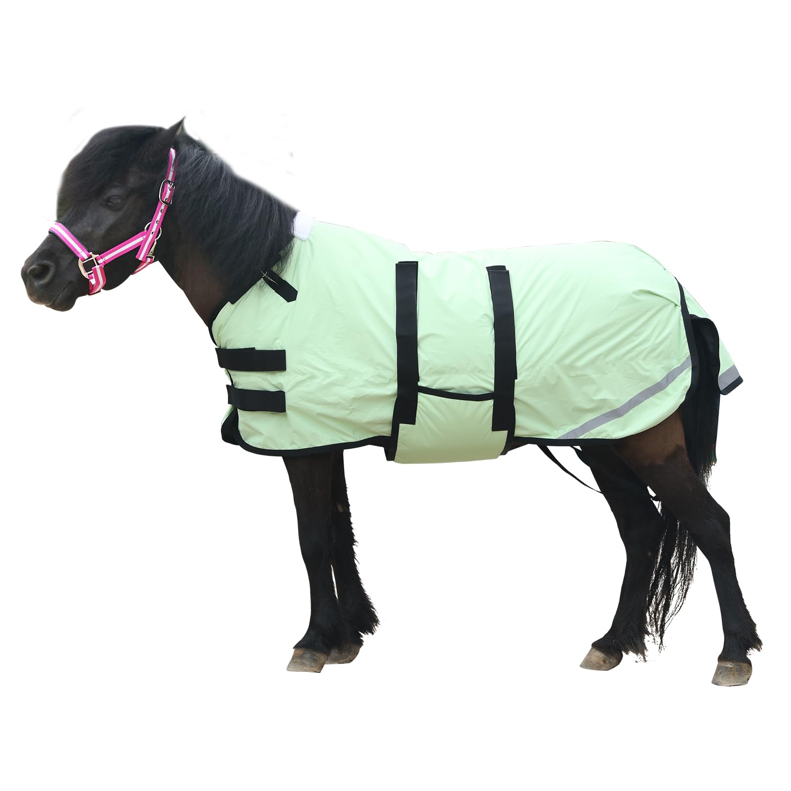 Gallopoff Coperta 300D Pony/Shetty 150g/m²