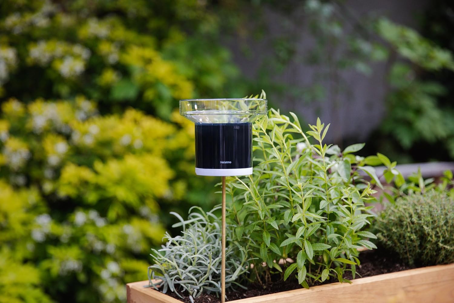 Netatmo Pack Stazione Meteo con Sensore Esterno e Pluviometro - immagine 6