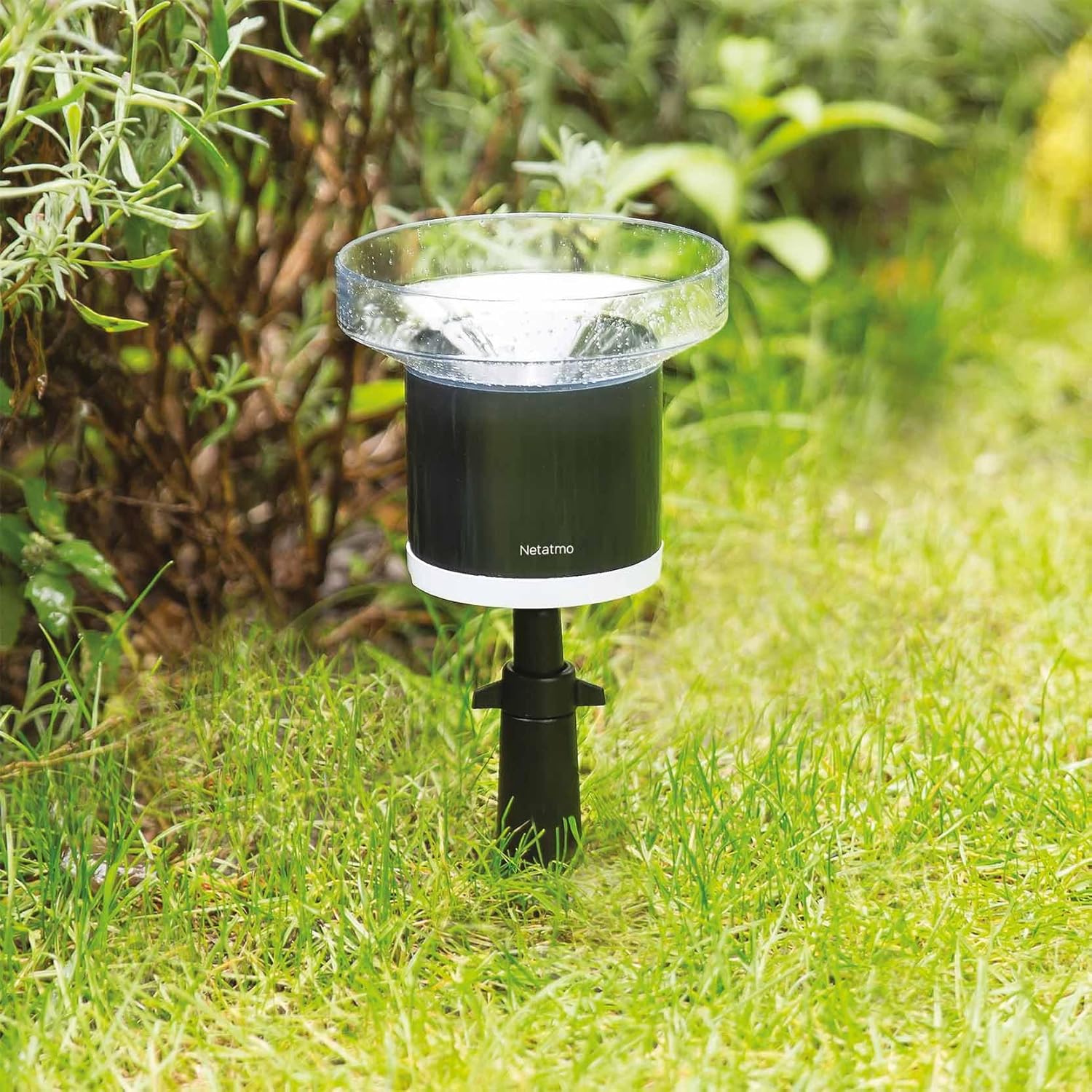 Netatmo Pack Stazione Meteo con Sensore Esterno e Pluviometro - immagine 7