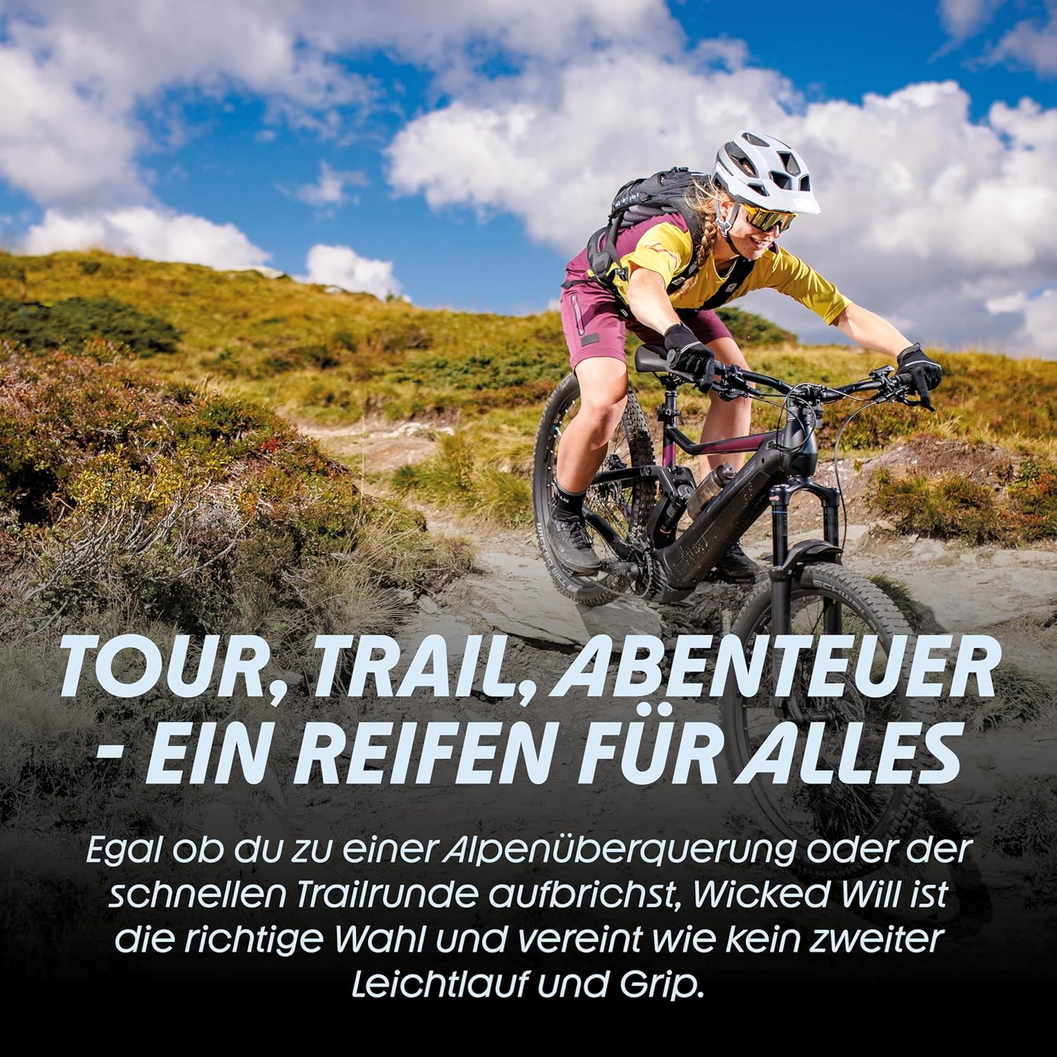 Schwalbe Wicked Will Performance Line TLR Folding Tyre - immagine 3