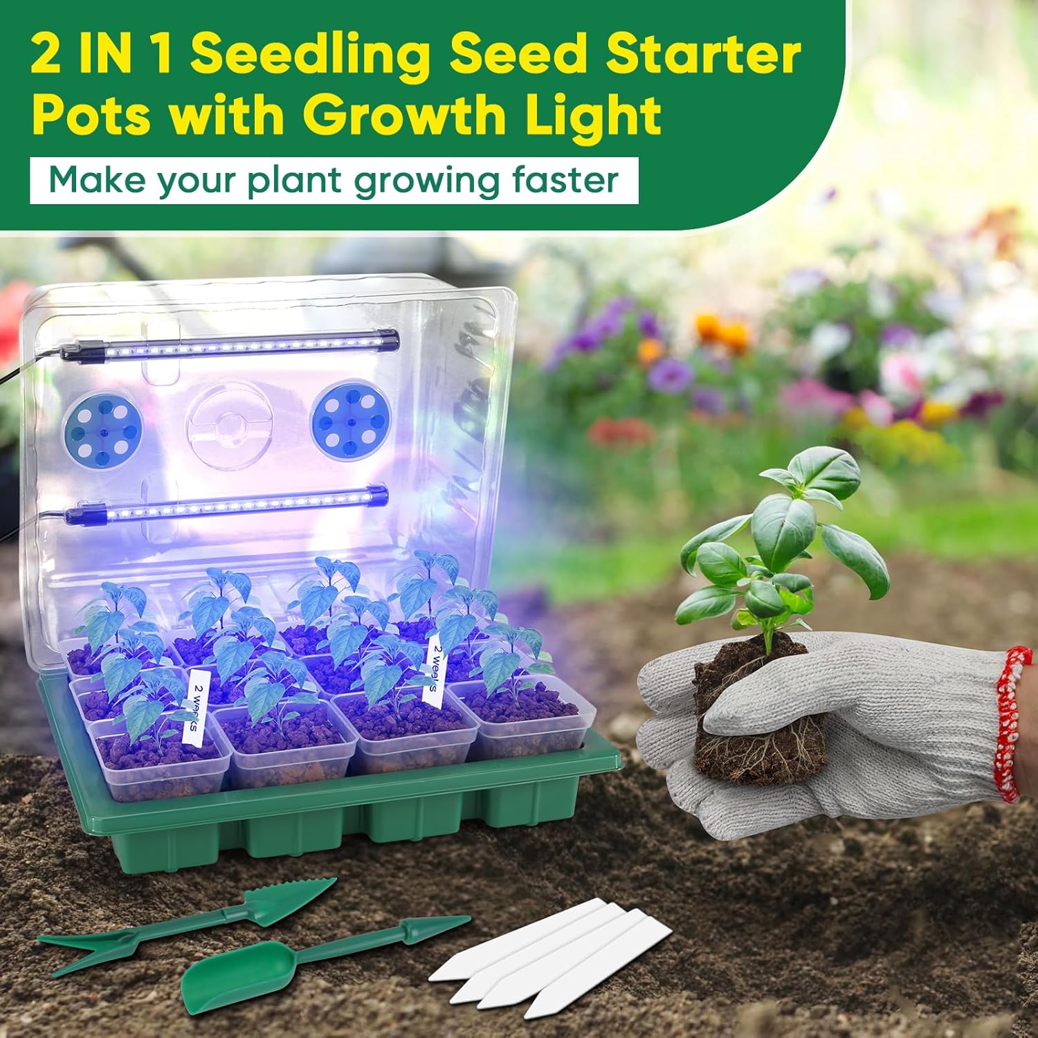 BlumWay Serra da Interni con Lampada per Piante (2 pezzi) - immagine 4