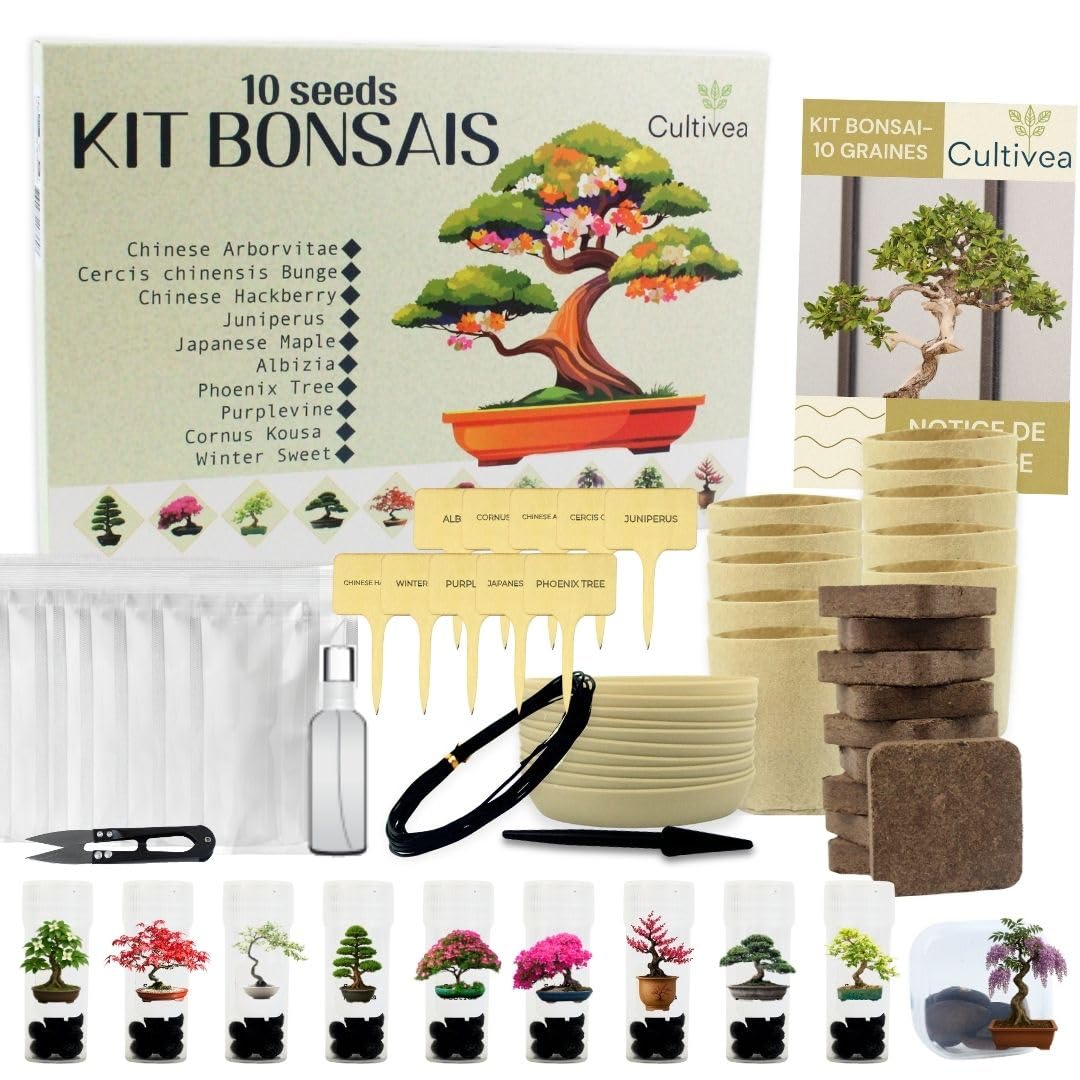 Cultivea® Kit Bonsai 10 Alberi da Coltivare